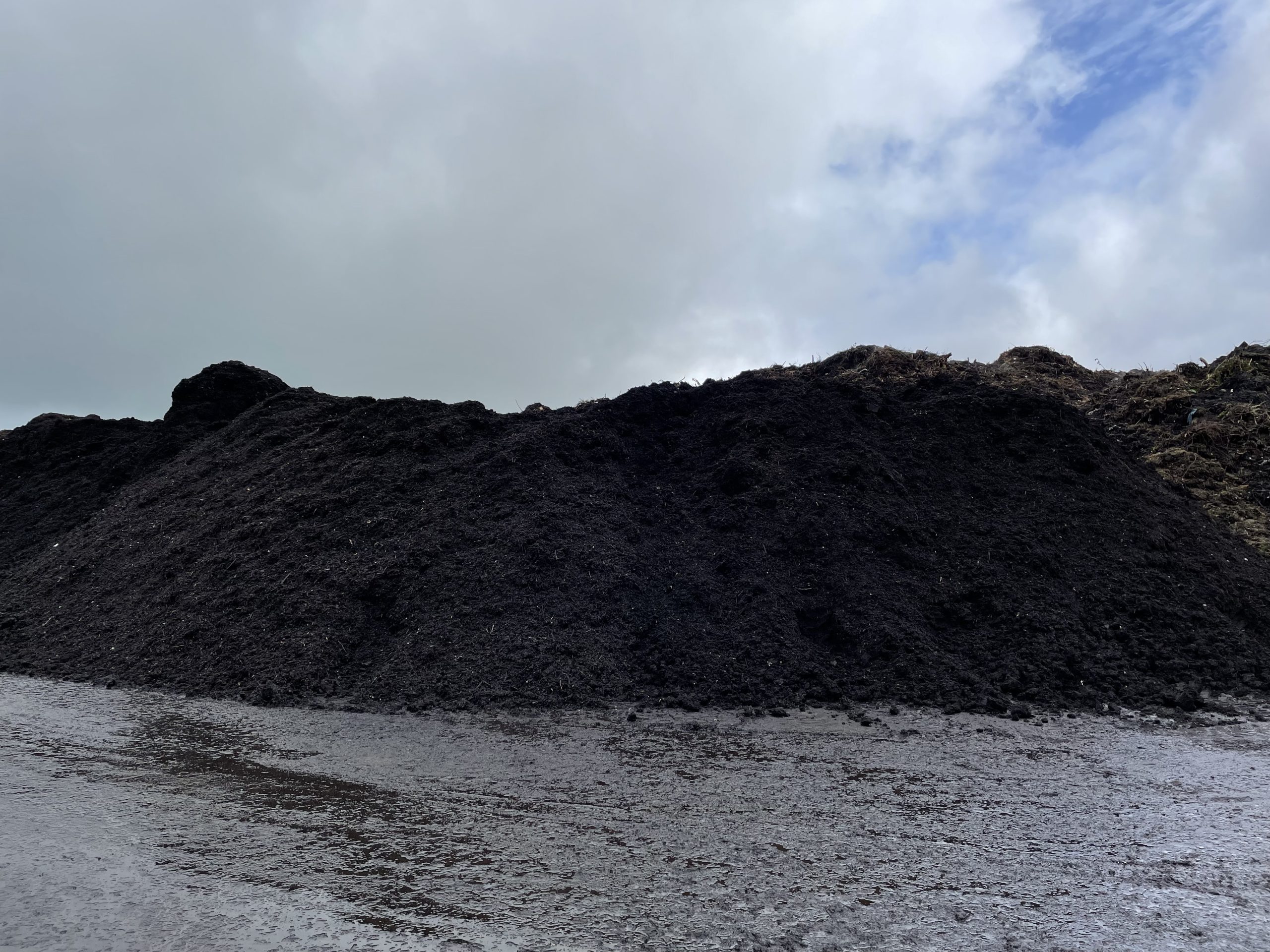 A pile of compost that looks like dark brown earth