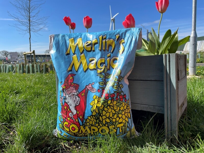 Bag of Merlin's Magic Compost resting next to a tough of red tulips