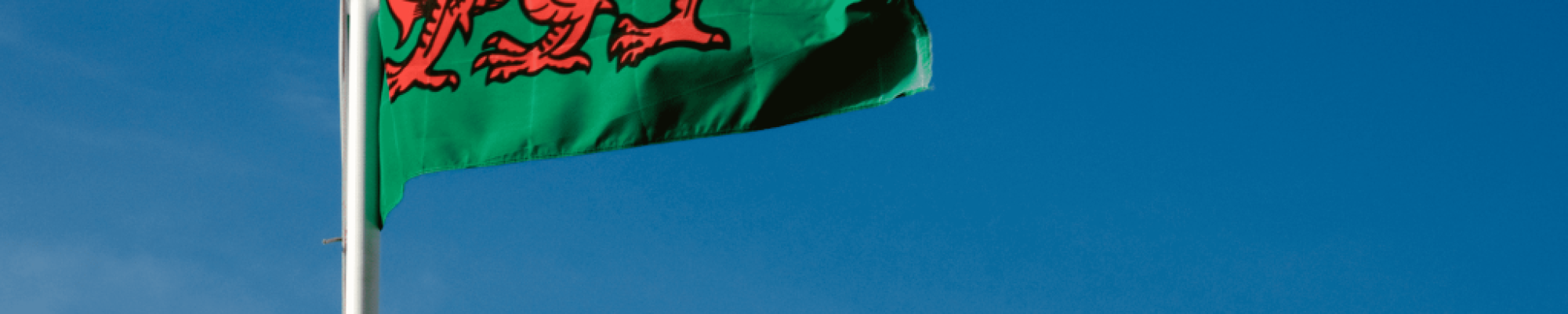 The welsh flag